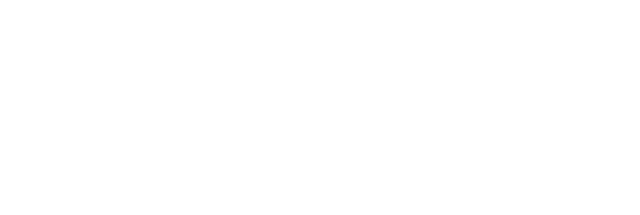 LESIS