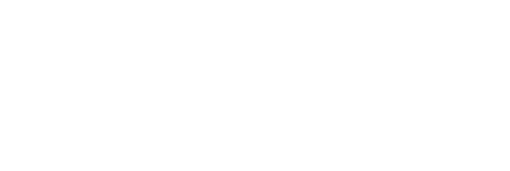Logo horizontal da LESIS, branco
