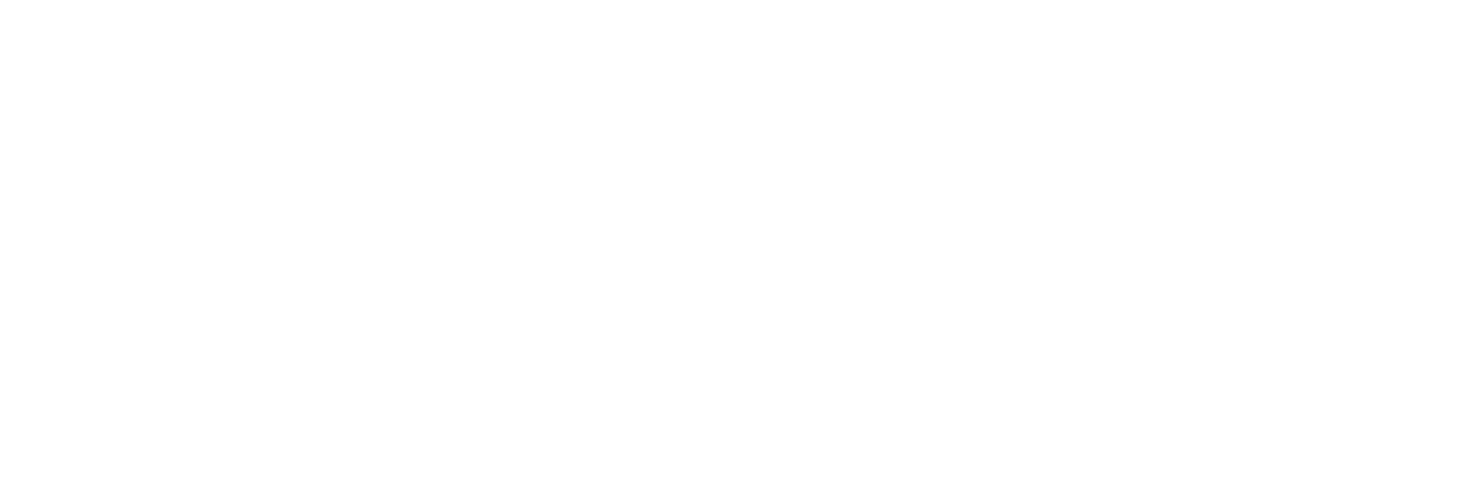 LESIS Logo Horizontal - White